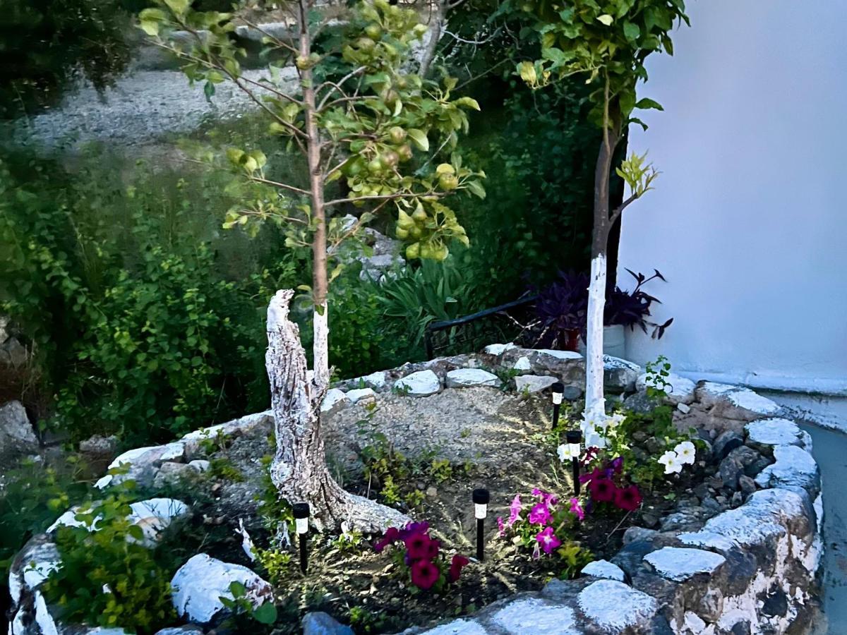 Greek House Tatiana Βίλα Κως Πόλη Εξωτερικό φωτογραφία